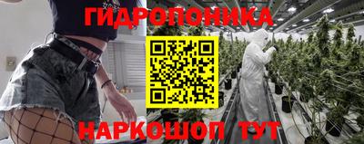 ГАЛЛЮЦИНОГЕННЫЕ ГРИБЫ Тверь