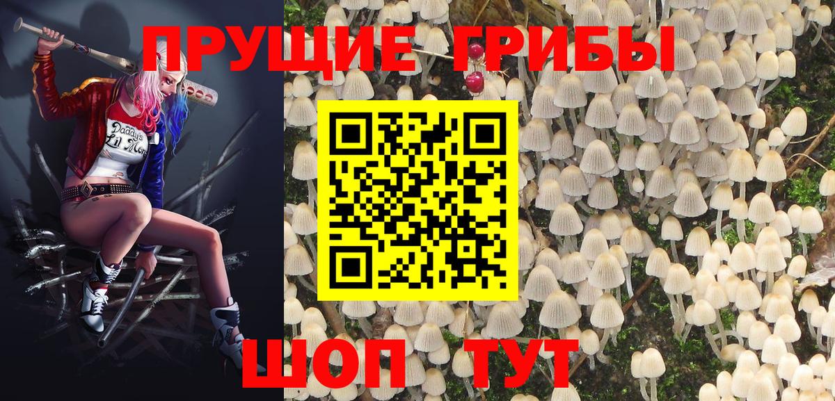 Псилоцибиновые грибы Psilocybe Лыткарино