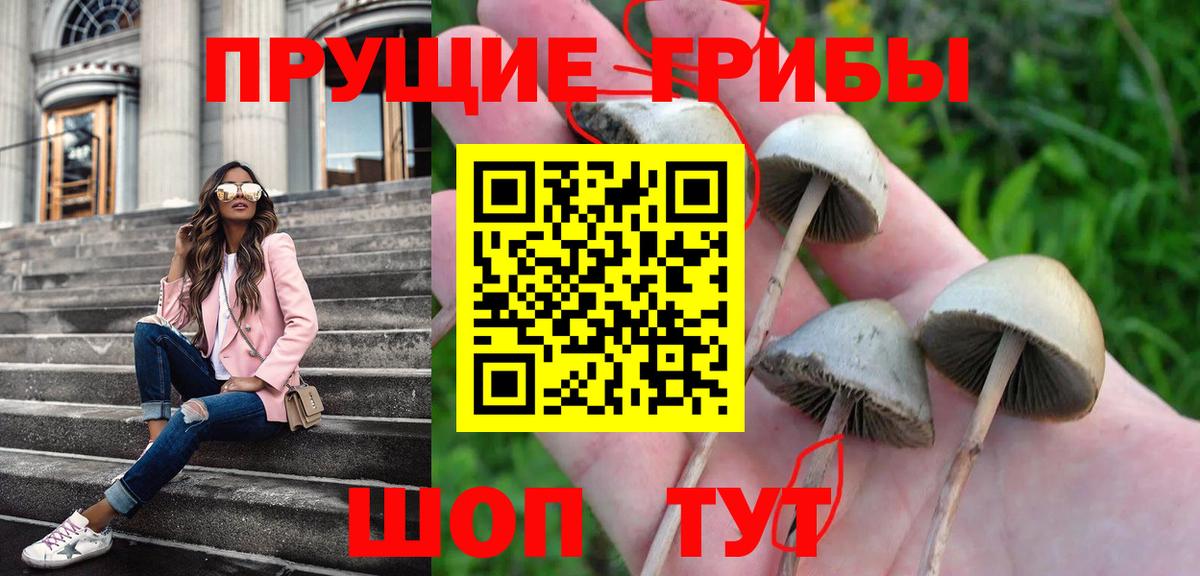 Псилоцибиновые грибы ЛСД  Вход с VPN  Лыткарино 
